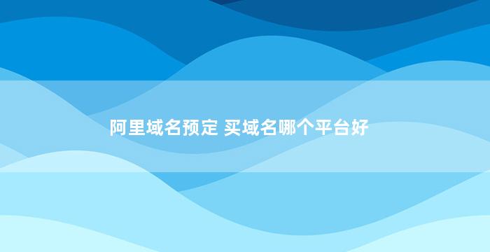 阿里域名预定 买域名哪个平台好